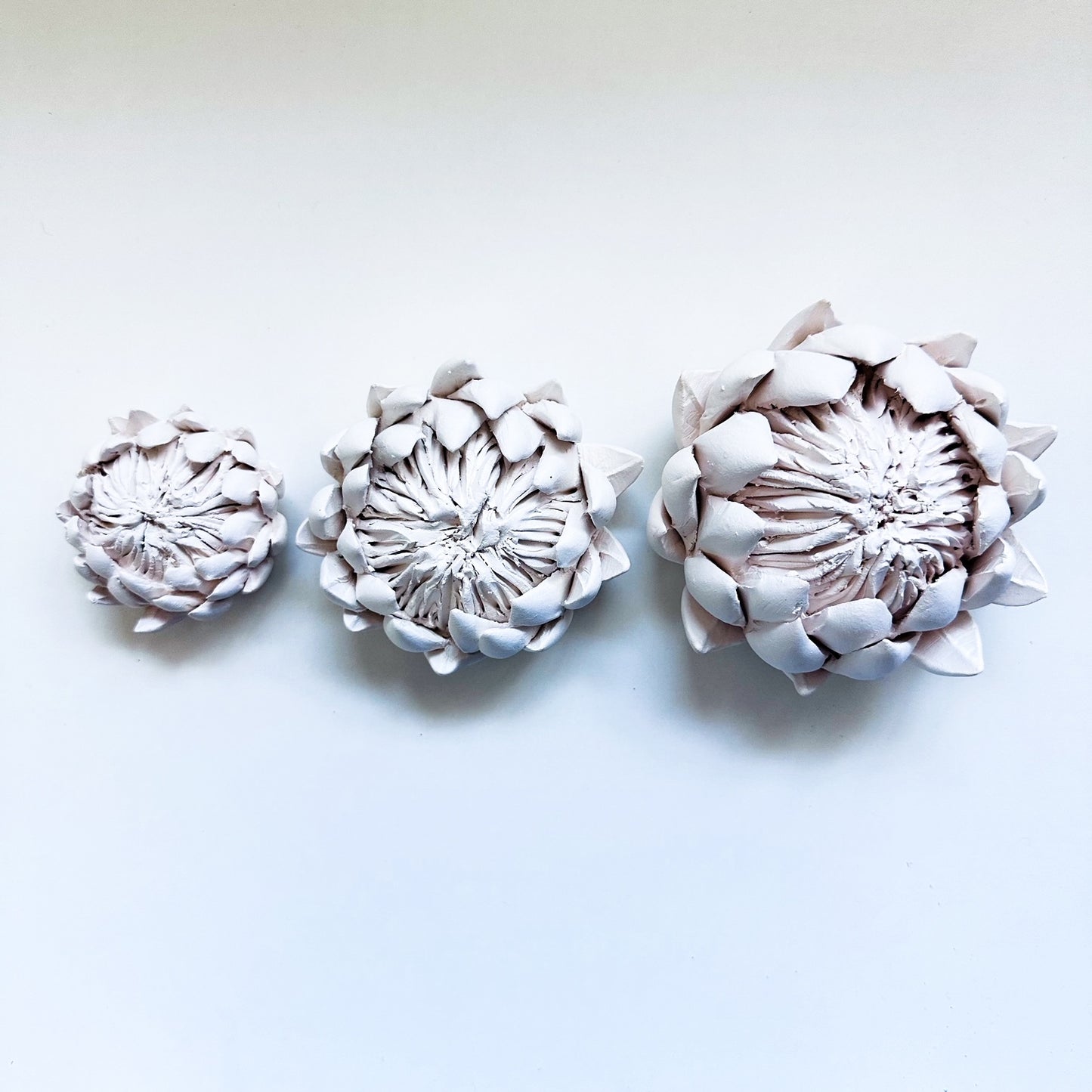 Protea Diffuser
