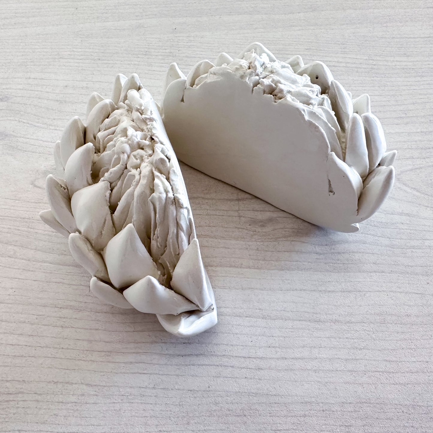 Protea Book ends