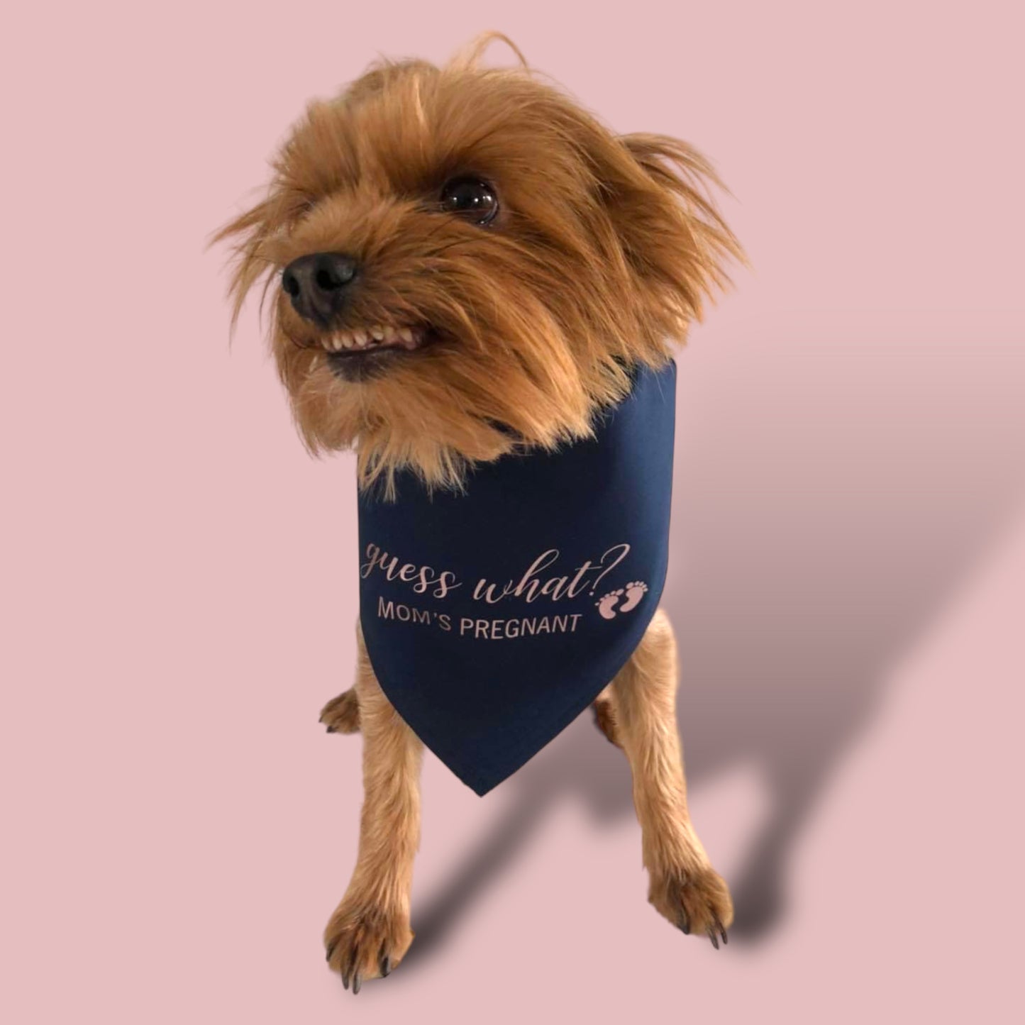 Dog Bandana