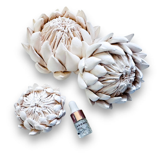 Protea Diffuser
