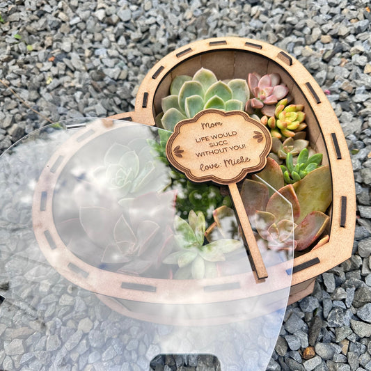 Succulent gift box